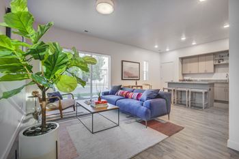 Living room with potted plant